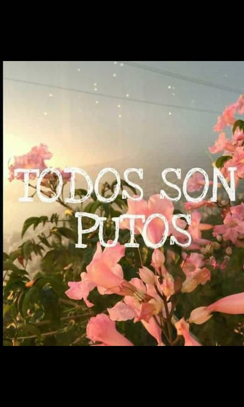 MiedoManuel's tweet photo. Así les doy la bienvenida https://t.co/xKztAfa57z
