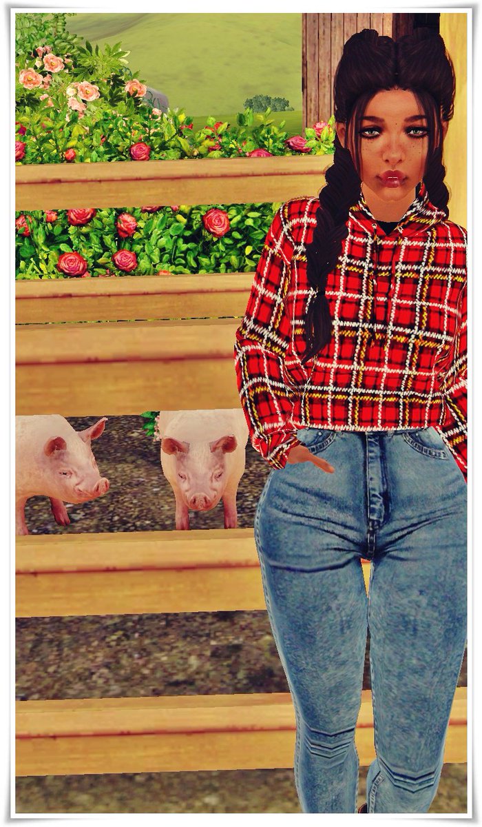 ittybennibugs's tweet photo. Colbie named 'em Oink, Oink and Bacon. https://t.co/PnNahfisKU