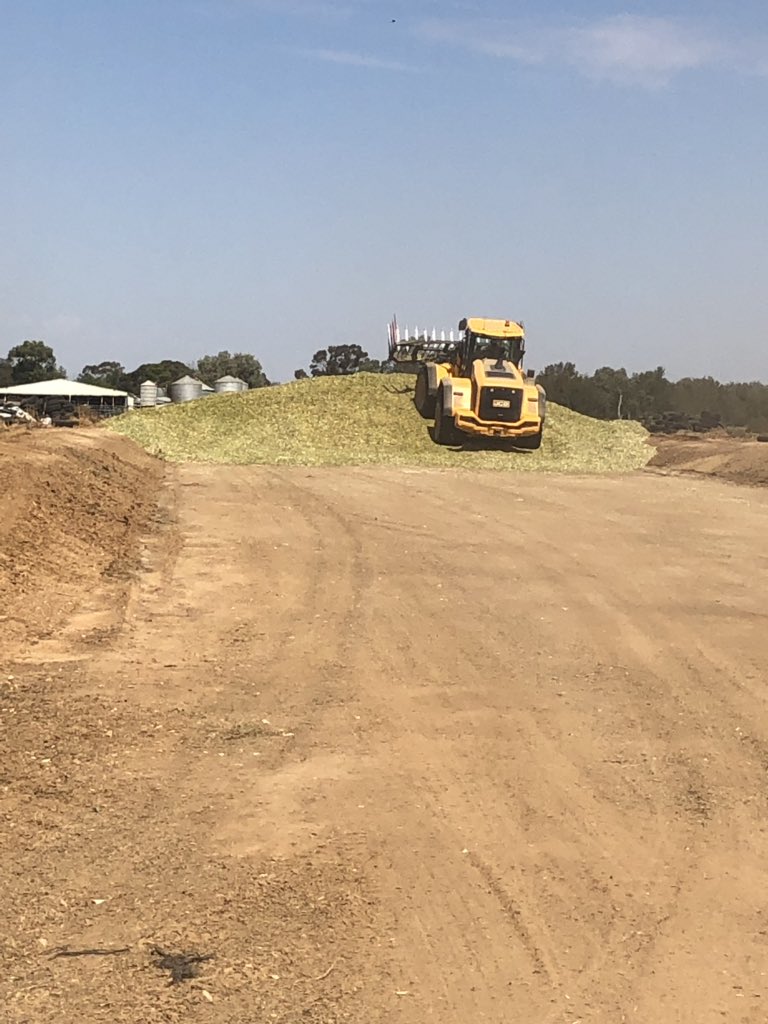 Kelvin Matthews tweet media