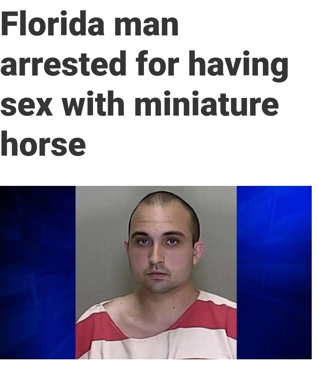 Nathan Cook tweet media