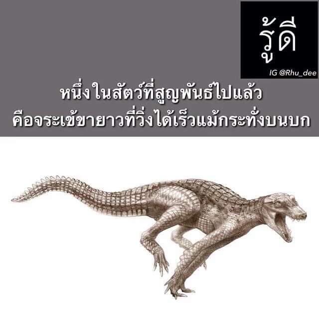 ตุ้มมง' ♡ tweet media