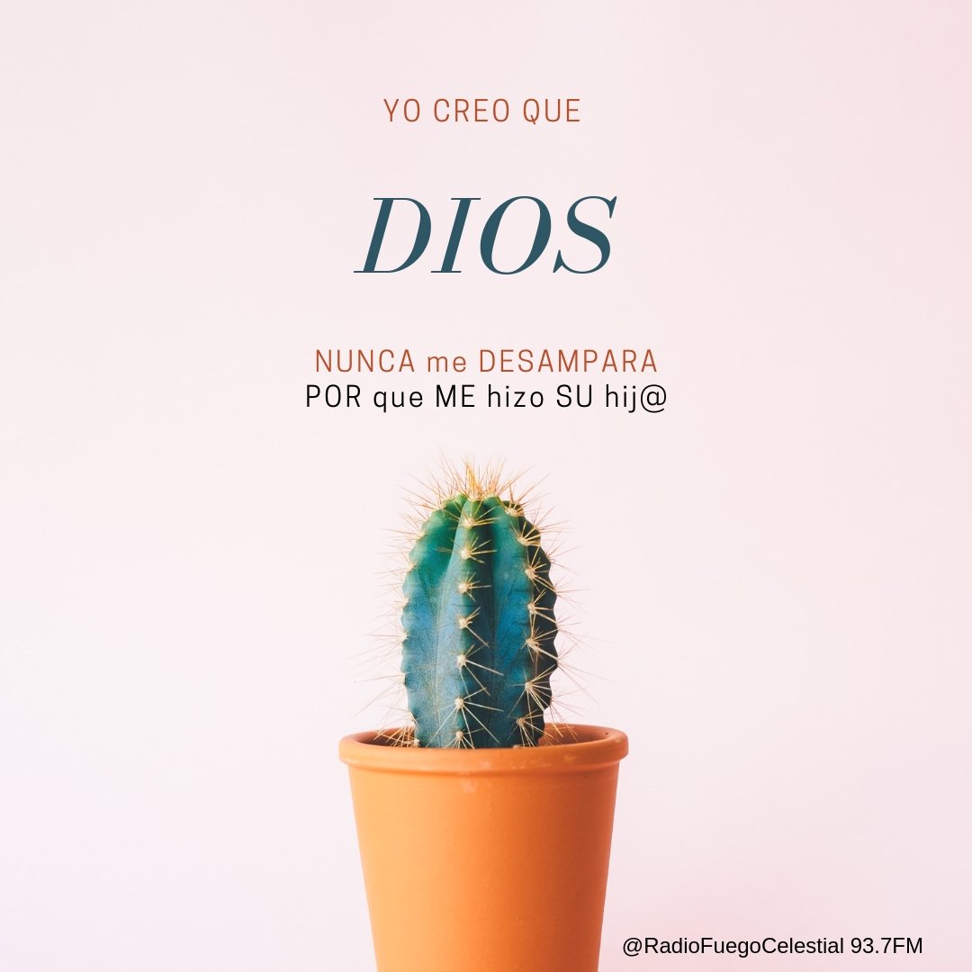 7Celestial93's tweet photo. Olvidarse de Dios!!!  #EstoNoEstáChido #AlegriaHOY  #RespetenNuestraHistoria  #Respeto https://t.co/iC1l2XBib8