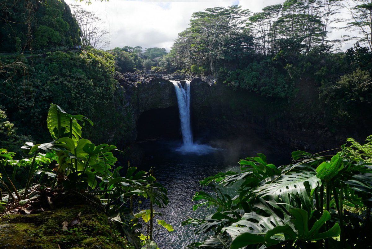 existboldly's tweet photo. Rainbow Falls, Big Island Hawaii 🌴#existboldly #liveboldly #adventureland #adventurer #worldplaces #pocketworld #explorenation #travelguide #bucketlist #placestogo #worldtravelpics #exploretocreate #visualoflife #backpacking #bigisland #bigislandlife #hawaiilife #islandparadise https://t.co/enZJkfwfLC