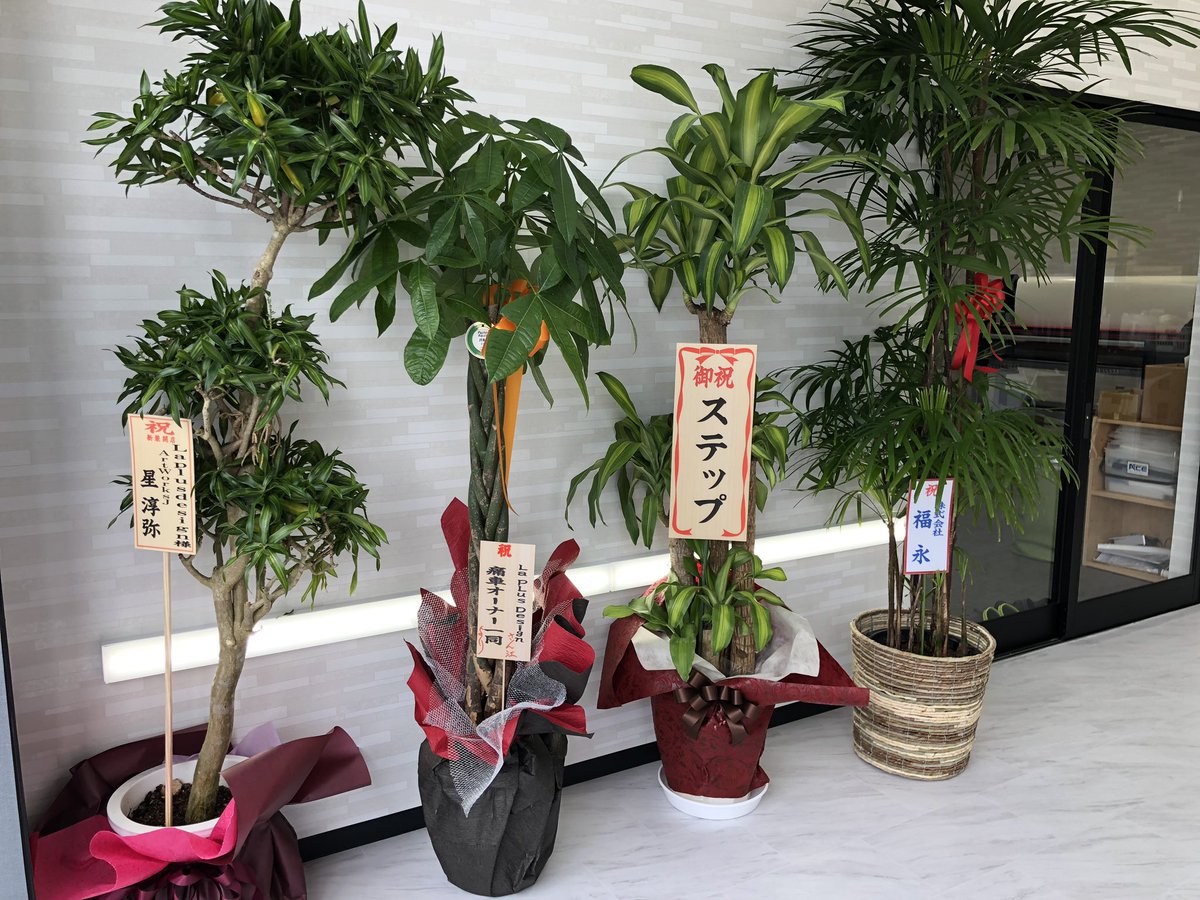 LaplusDesign's tweet photo. 本日無事にリニューアルオープンする事が出来ました
沢山の方々からお祝いをいただけました事この場を借りて厚く御礼申し上げます
これからも地域密着良心店として精進してまいりますので皆さま何卒よろしくお願い致します
株式会社 大夢 取締役副社長 兼
ラプラスデザイン 統括マネージャー
田中 勇毅 https://t.co/BywGs4kEvu