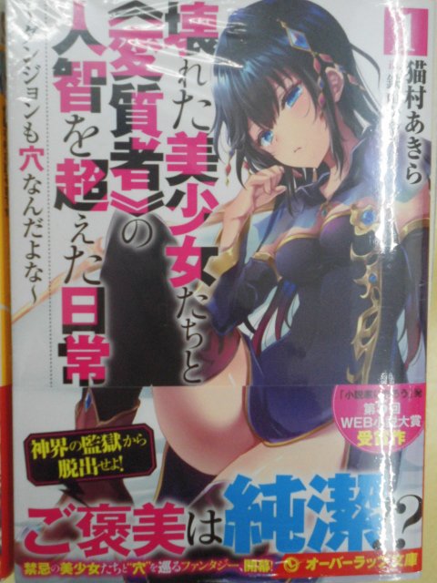 ট ইট র ゲーマーズなんば店 書籍 オーバーラップ文庫 壊れた美少女たちと 変質者 の人智を超えた日常1巻 ダンジョンも穴なんだよな 本日発売 ゲーマーズ特典は 猫村あきら先生書き下ろしssペーパー です 壊れた美少女たちと変質者の人智を超え