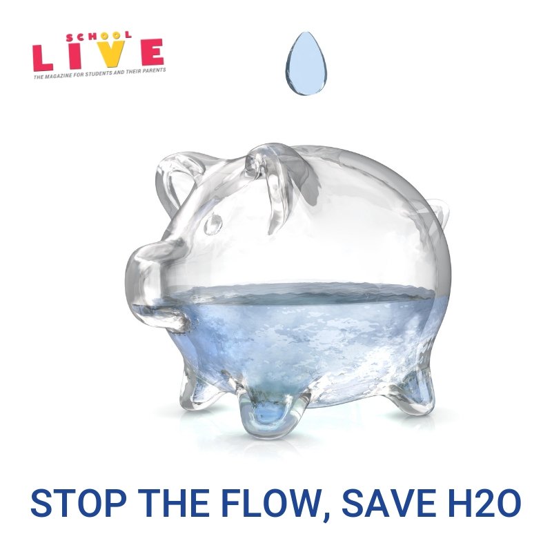 schoolLIVE_mag's tweet photo. On the occasion of World Water Day, let's try to be a little conscious for the limited resources we have. Conversation today is better than looking for a cure later. 

#worldwaterday #schoollive #stayupdated #indianeducation https://t.co/EcY73ViORc