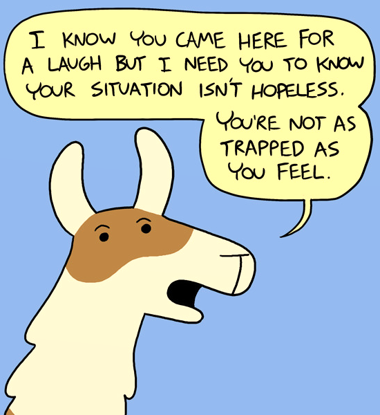 AffianoG's tweet photo. Llama be there for yah.. 😏 https://t.co/o17T1tGpPC