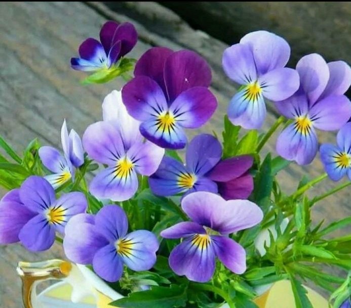 sciuto_agata's tweet photo. @MarcelloAtanas @dicuonzobt @lori_gianna @ToniaAntonella @ArgentonViviana @MolaschiClara @RBarbasso @CristinaShonny @betyzapi @RobertoGranai @marcovolpicell @massimo3651 @carmenjaratn @Gijsje37 @Maria_Rosaria9 @davidedigirola1 @29marzolina @usai1951 @Marilu08714243 @JermannPeter @Presciani68 @albertamanzoni @KurtJermann @Lucia09794742 @Aquilottoblu @angelichina2 @DanielaSalvemi1 @giusepp72655693 @pierafilippo3 @muracristina1 #Buongiorno #condominio di bella gente #BuonVenerdi #22marzo, oggi colazione semplice ma sempre nutriente x poter dare inizio a questo nuovo giorno che #profuma di #weekend primaverile 🌸🥀🌺🌷🌱🌻🌼
#Baciocolazione 💋a tutto il #carrozzone 🚄 https://t.co/cGfugVZWOT