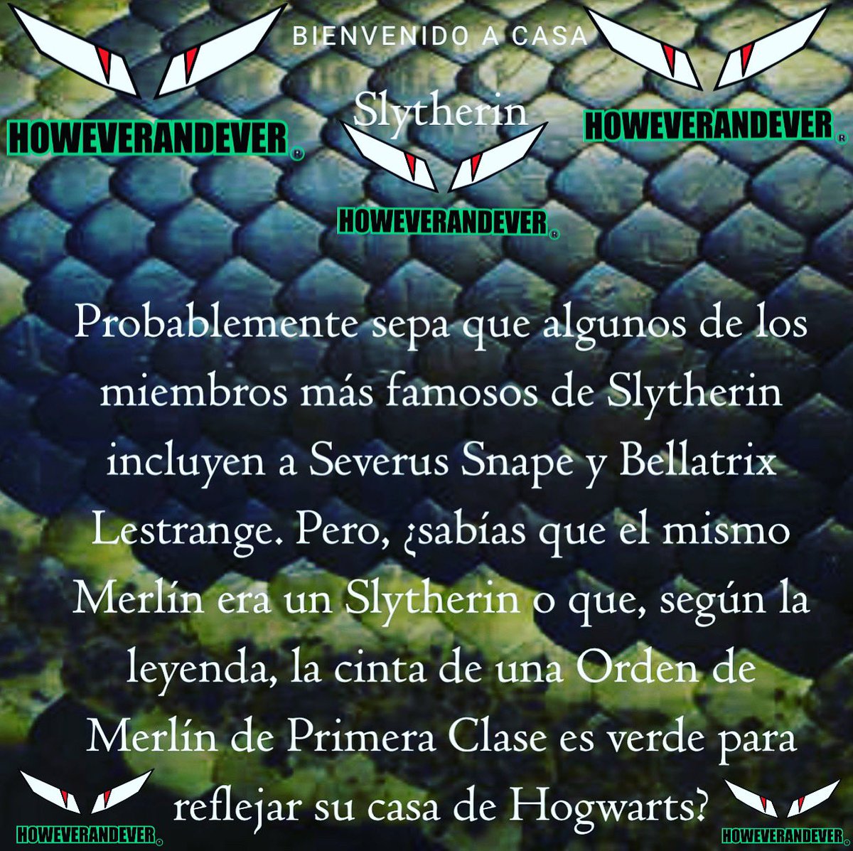 Howeverandever's tweet photo. 🐍MERLÍN UN ORGULLO DE SLYTHERIN🐍 #harrypotter #slytherin #slytherinhouse #wizard #espectropatronus #harrypotterworld #influencer #howeverandever #youtube #followme #likes #socialnetwork #devil #goodnight #merlin #magic #howarts https://t.co/9KXr5kUw4P