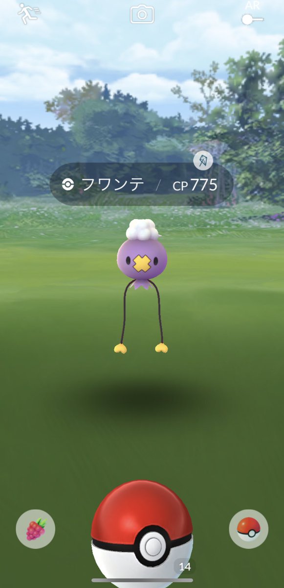 ニドランメス ニドランメス