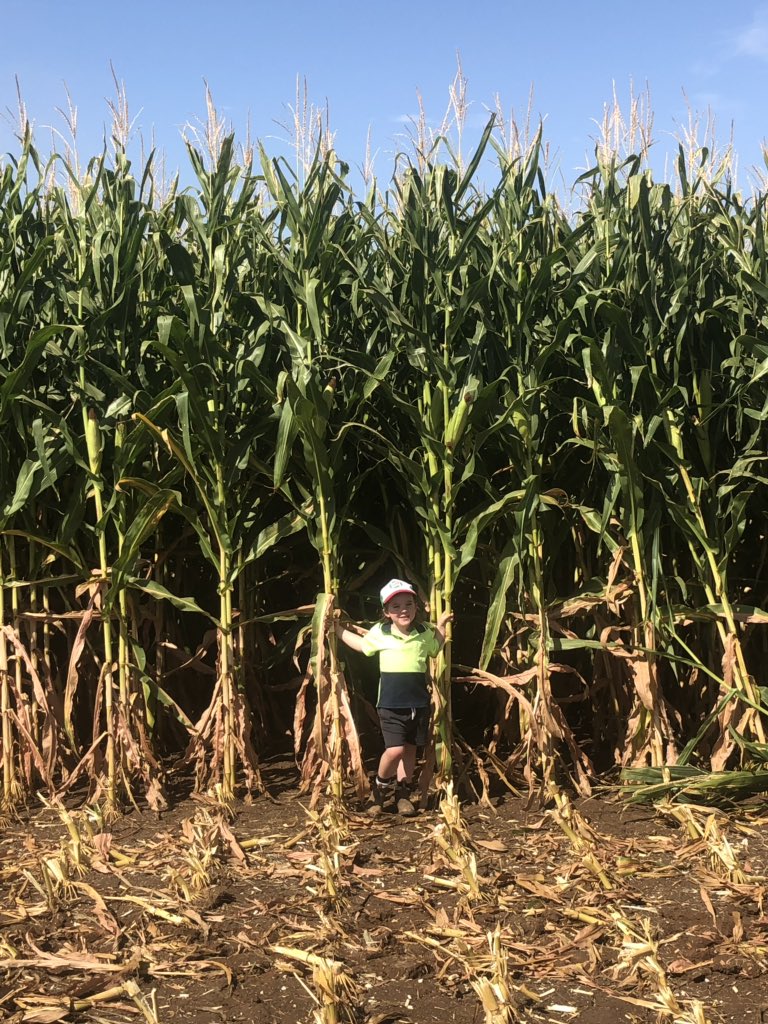 Kelvin Matthews tweet media