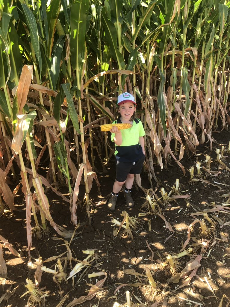 Kelvin Matthews tweet media