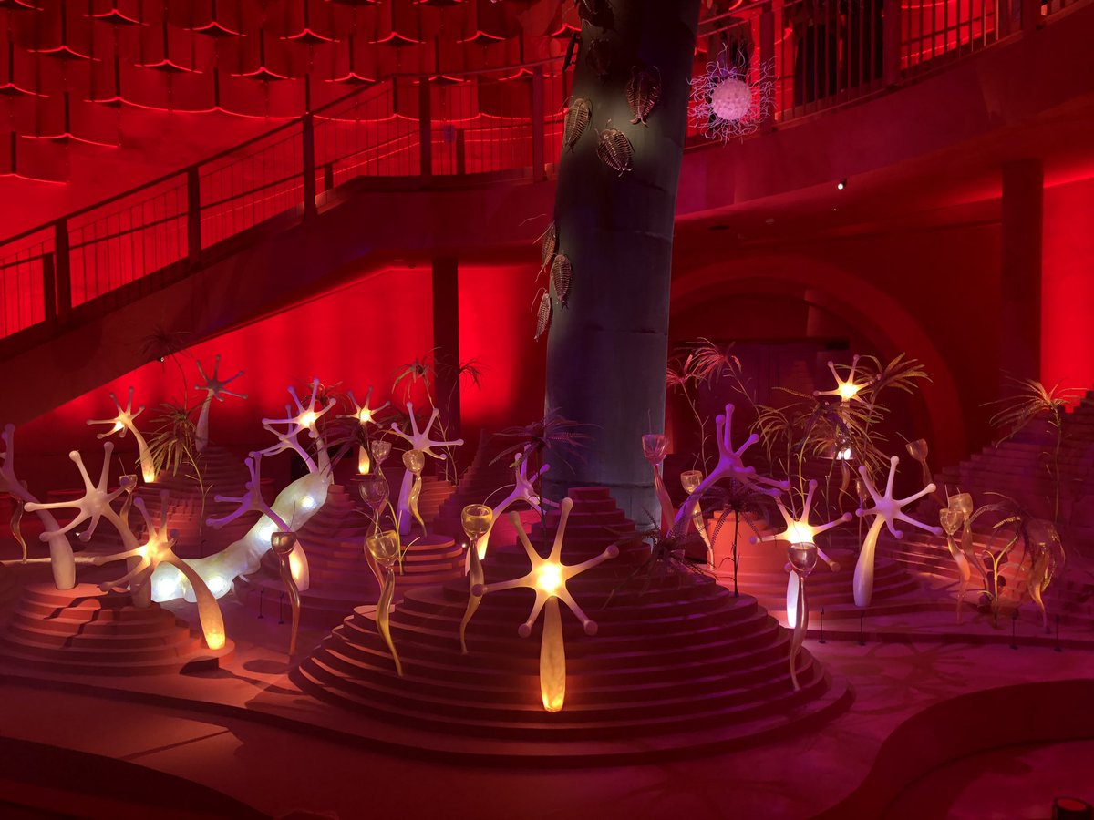 中はこんな感じ。一階部分だけは撮影可なんだけど、上も色々あるから是非観に行って欲しい。特に腕の内部構造は圧巻だった 