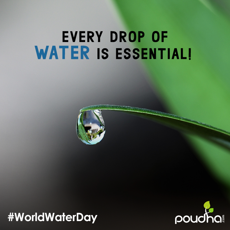 Poudha_in's tweet photo. This #WorldWaterDay, let's join in and pledge to save water, save the future! Every drop of water saved contributes towards the growth of a fresh #Poudha and a brighter future.

#SaveWater #Plant #Plants #PlantLover #PlantLife #Planting #PlantLove #Nature #NatureLover https://t.co/QWjQ4RHFvB