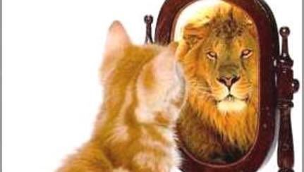 FBImindgym's tweet photo. SUPERNATURAL: “But we all, with open face beholding as in a glass the glory of the Lord, are changed into the same image from glory to glory, even as by the Spirit of the Lord.”(2 Corin 3:18)
When you look into the mirror what do you see? #IAmStrongNatiom https://t.co/6cy153kia2