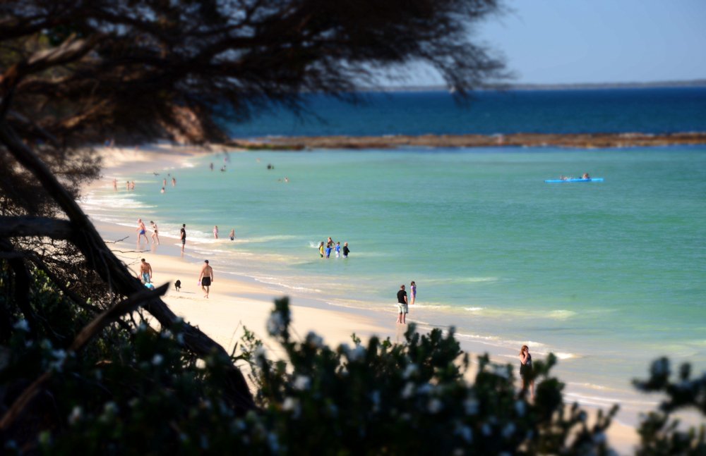PleasantWayNSW's tweet photo. Check out the Shoalhaven 100 Beach Challenge!  Pleasant Way River Lodge is perfectly located to use as your base or a pit-stop while checking out the beautiful beaches of our region. https://t.co/OTHqDuAxOx #100BeachChallenge 🏖 https://t.co/FxjthaiamT