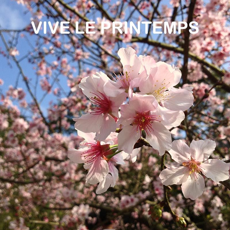 vamacobay's tweet photo. #vamacobay #printemps #moment #soleil https://t.co/IgyN1HEgZF