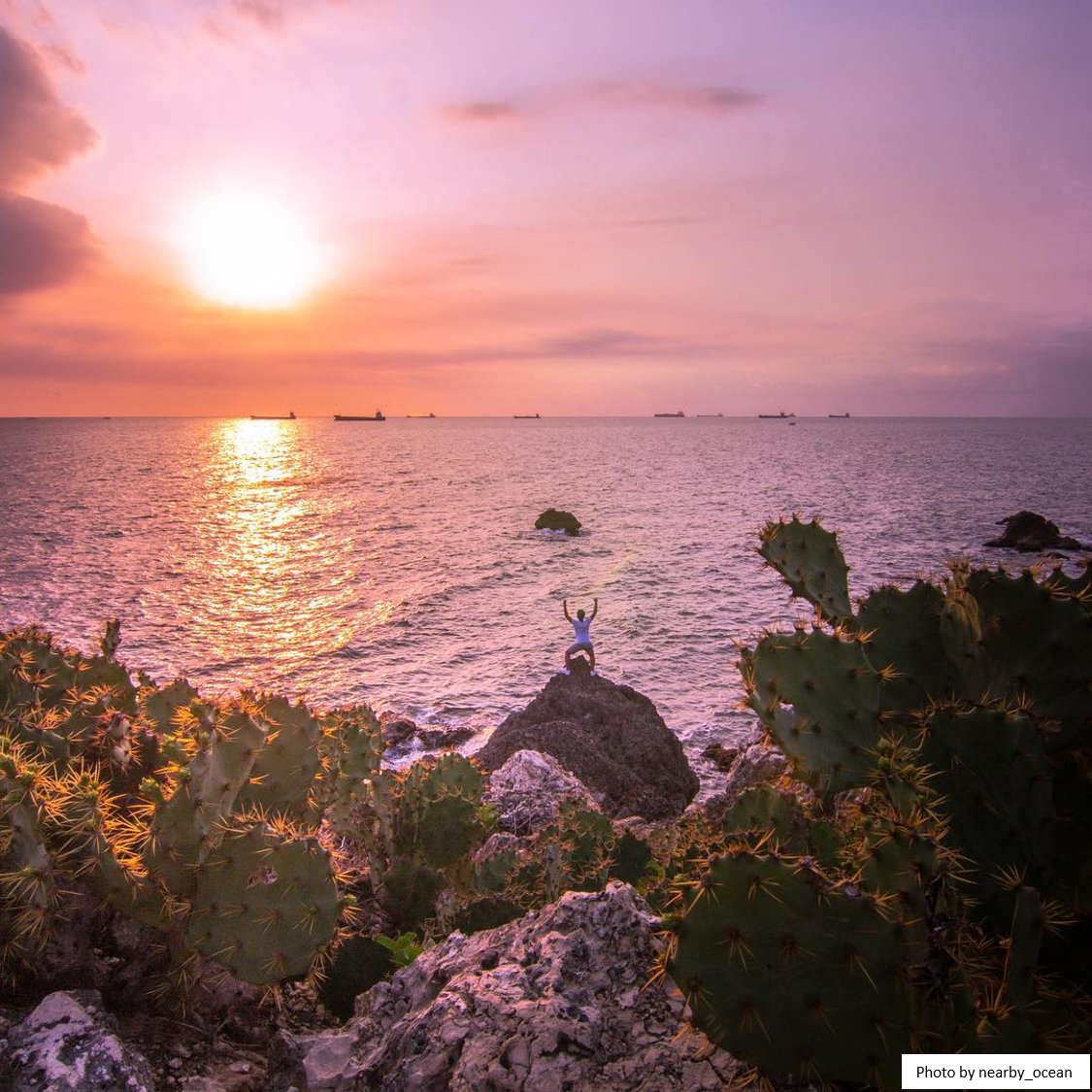 KaohsiungCity's tweet photo. Little Nature in Xizi Bay is a best-kept secret spot. This place packs an assortment of treasures for nature lovers. In the soothing sound of the waves crashing on rocks, you achieve inner calm and tranquility of mind. https://t.co/BoFUud5HAq