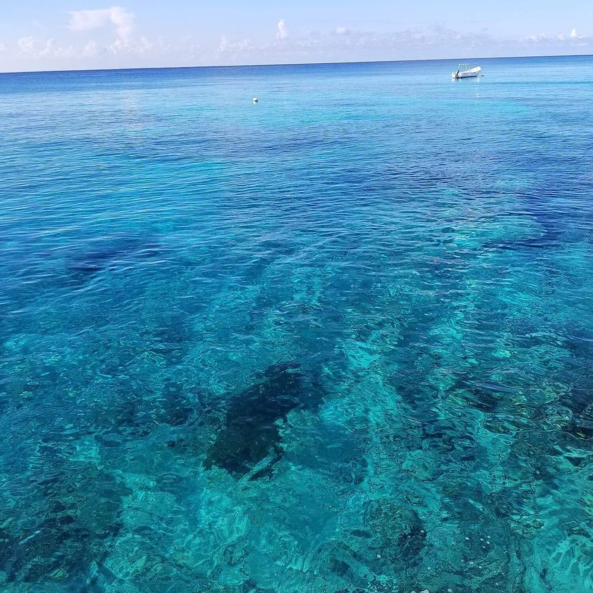 Blue Spaces (@vistasazules) on Twitter photo 
