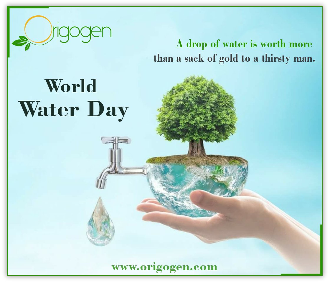 A drop of water is worth more than a sack of gold to a thirsty man.
#WorldWaterDay