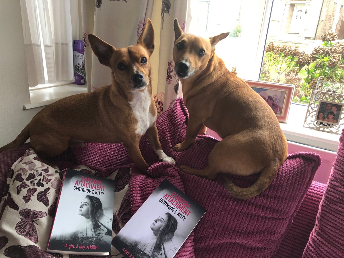 gertrudetkitty1's tweet image. Bert &amp;amp; Stan finished #RandomAttachment &amp;amp; r miffed there’s no canine roles for a ⁦@NetflixUK⁩ film. ⁦If you like ⁦@RiverdaleTheCW⁩ ⁦@CW_Riverdale⁩ #riverdale #MeanGirls #13ReasonsWhy then u will LOVE RANDOM ATTACHMENT it’s #agonisingly good #YA #TEEN #TEENAGER