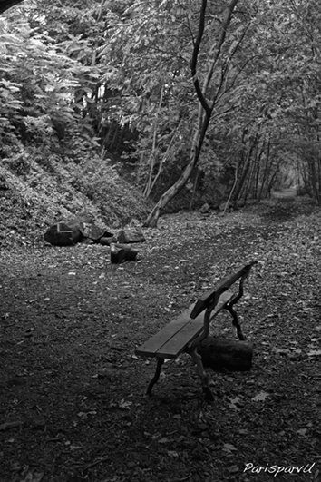 LA BALADE DU VENDREDI

Pour cette cinquante et unième balade je vous emmène dans le 16ème arrondissement, et plus précisément sur le Sentier Nature.

parisparvu.com ( + de 4000 photos de Paris. A partir de 45€)