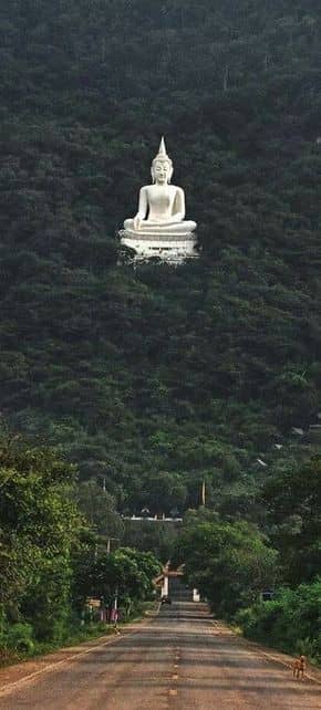 Writetolife1's tweet photo. It is believed that prosperity and peace lie in the middle of natural greenery.  #Buddha #forests #lordbuddha #peace #peaceofmind #lifelifelife #writers #bloggers #India #aims #MyLifeMission #Prayer #God #GodBless https://t.co/dwK0smG0Rh