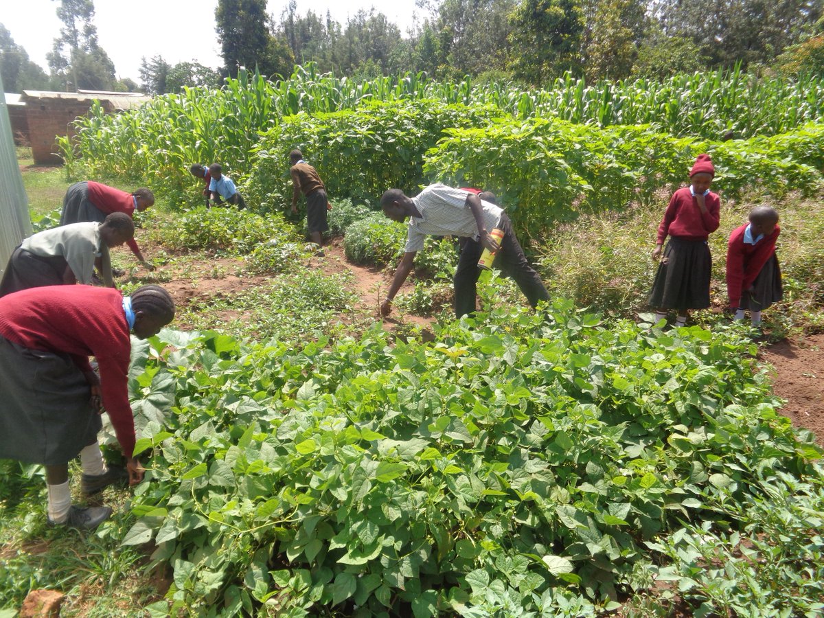 Scopekenya2's tweet photo. @maddyharland https://t.co/s4i2C5wXda