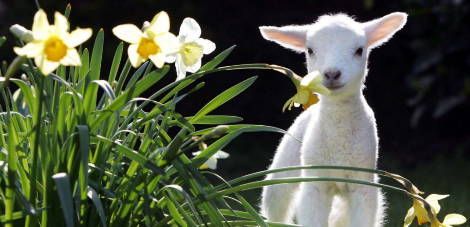 <a href="/Betho1311/">Elizabeth</a> BONJOUR mon ELIZABETH, il me semble vous avoir oubliée ce matin ? Je m’en excuse, gros bisous ma douce Amie, bel Après-midi 😘😘🌹🌹