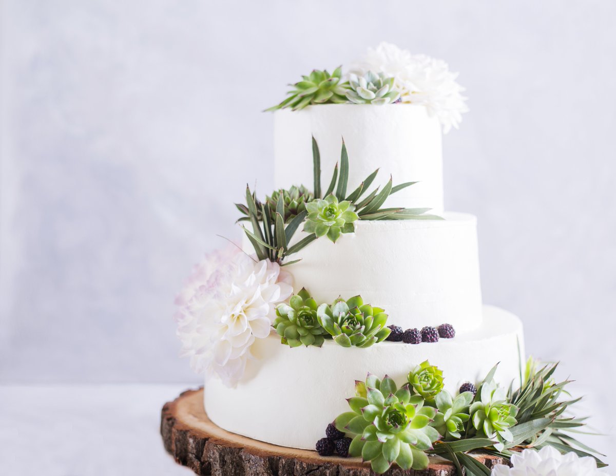 TopsyCakeDesign's tweet photo. Loved making this cake with fresh florals and simple design. It's a fresh twist from the traditional buttercream and fondant heavy cakes. What's your favorite cake style? #ttcakedesign #customcakes https://t.co/ODxCKHNgMn