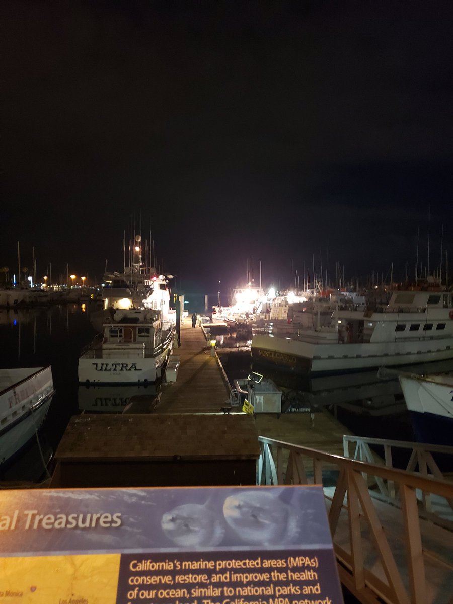 DJGarfield tweet media