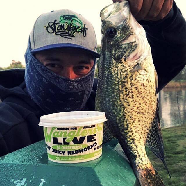 WanglersLive's tweet photo. @barriobass “Can’t pass up a crappie  bite when I find it 😂 These two were both 12” and 1 pound. They chomped the Chartreuse Wangler”. Love stories like this!
•
•
•
#wanglerslive #crappie #dangleyourwanglers #thewormthatworks #fishing #worm https://t.co/xz131nP4l9 https://t.co/acKWZjiuvi