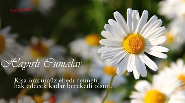 Tüm takipçilerimize , hasılı tüm İslam alemine Khayırlı Cumalar efendim 😊🌹.
#hayirlicumalar 
#JummahMubarak