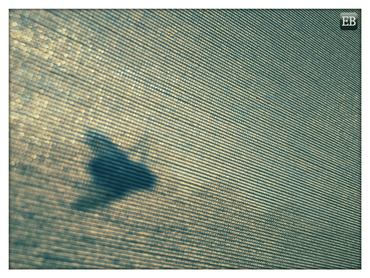 Eric_Brazier's tweet image. “#Flypaper” is.gd/oYONyf #TheDailyMobile #photography #Blind #Flies #Fly #Housefly #Insect #Shade #Shadows #Silhouette