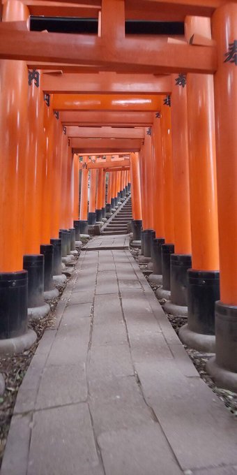 伏見 高画質 のtwitterイラスト検索結果