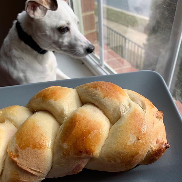 EverydJewishMom's tweet photo. Shabbat Shalom from all of us. ❤️
#challah #jewishbakery #kosherbaking #kosherrecipe #jewishfood #bakingwithkids #Jewish #jewishmom #everydayjewishmom #foodie #foodiemom #challahbread #shabbatshalom #reformjudaism #totshabbat #jewishholiday #br… https://t.co/1HRLonqnVG https://t.co/Vdq7QJLtfH