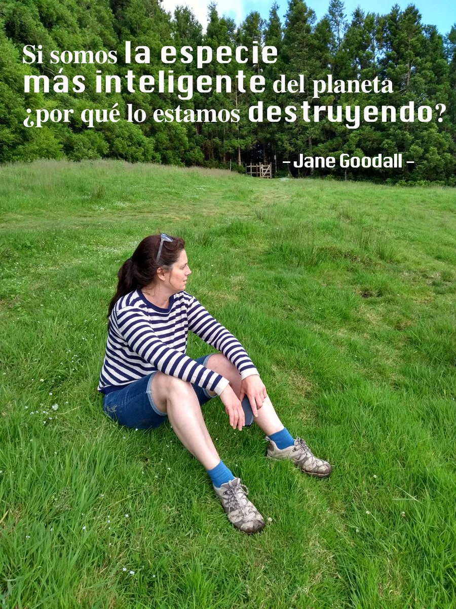 ciencia_mujeres's tweet photo. 👩‍🔬🌿“La ciencia es otra forma de ver el mundo”. @crisnieto es doctora en #biología molecular de #plantas. Estudia los mecanismos moleculares que permiten a las plantas adaptarse al medio ambiente en el que viven en el @CNB_CSIC .
#WeScienceToo #AllTheScienceLadies #WomenInScience https://t.co/Tj0jI9uafC