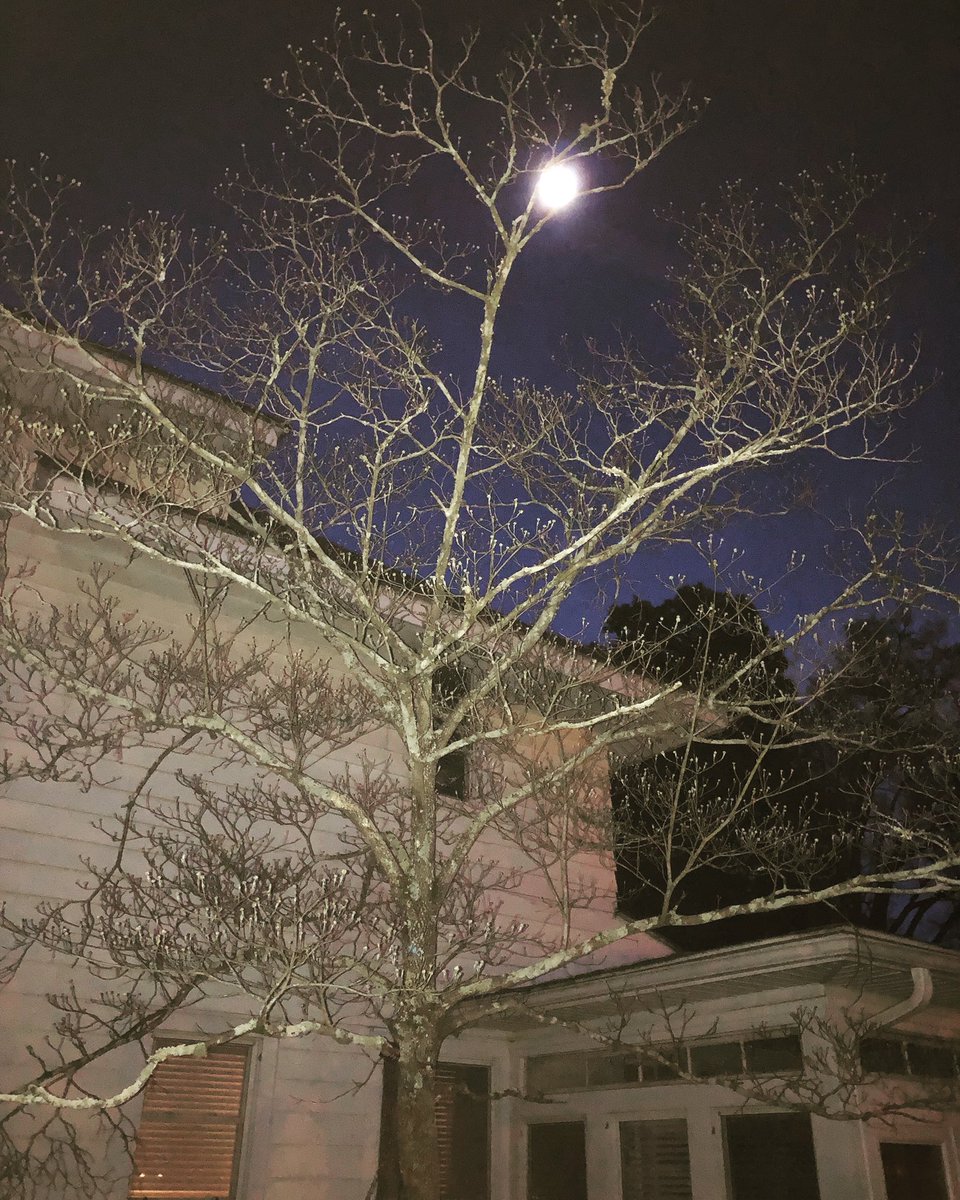 “My Own Backyard”
DannyNicholson.com