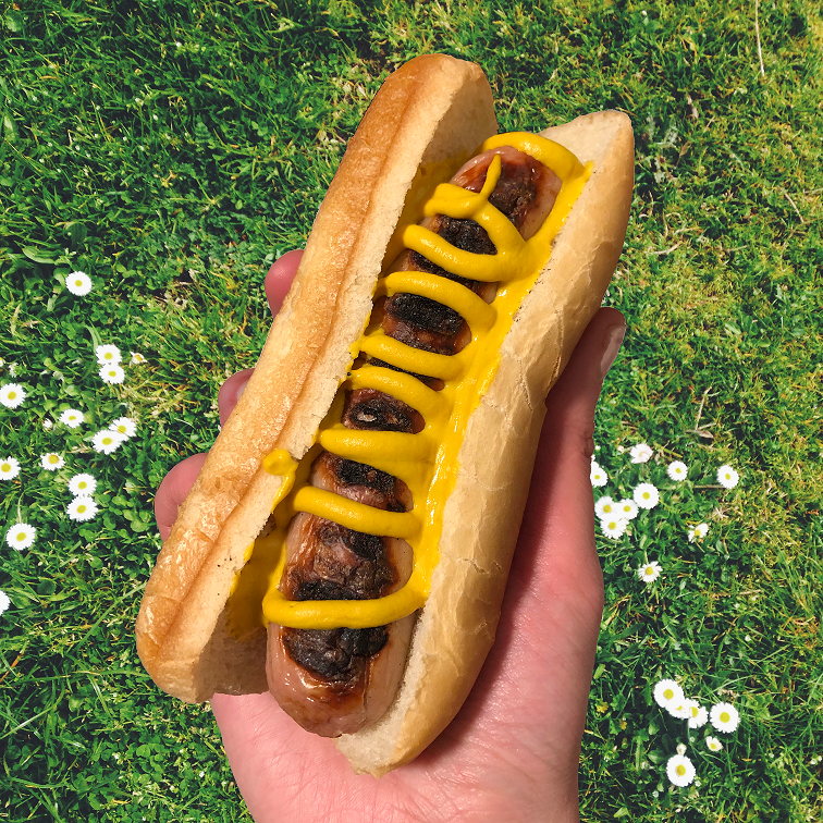 zweigleshots's tweet image. Mother nature might not have decided what season it is, but we have #BringBackSpring 🌷

#ROCHotDog #SpringFood #Zweigles