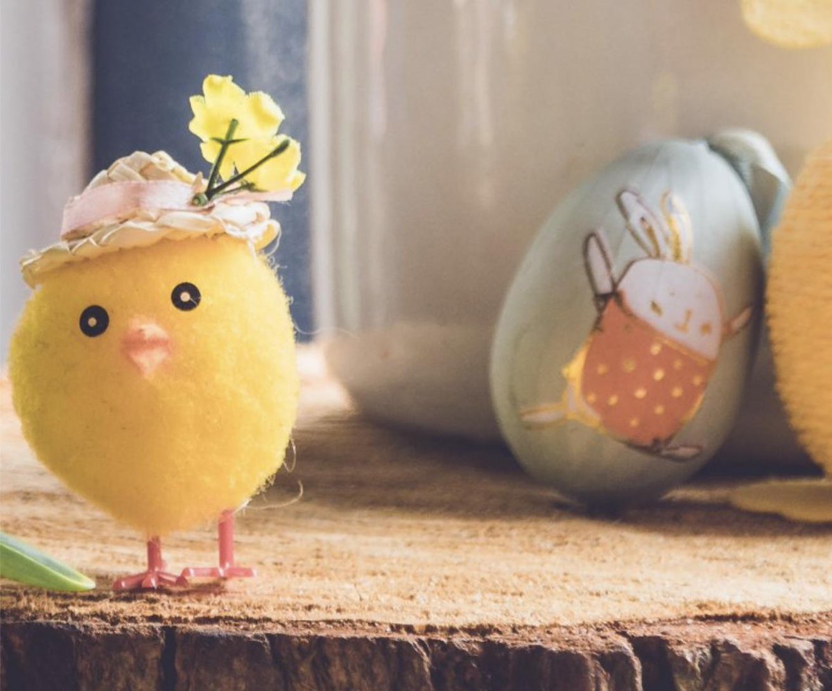 GEEN ZIN OM MET PASEN DE DEUR UIT TE GAAN ?
Geniet van de overheerlijke gerechten die speciaal voor u zijn bereidt. 
Van zoete broodjes naar verse pasta tot een overheerlijk dessert.
Geen gedoe, geen vieze keuken en geen afwas!
Meer informatie? 
feestenculinair.nl/ons-assortimen…