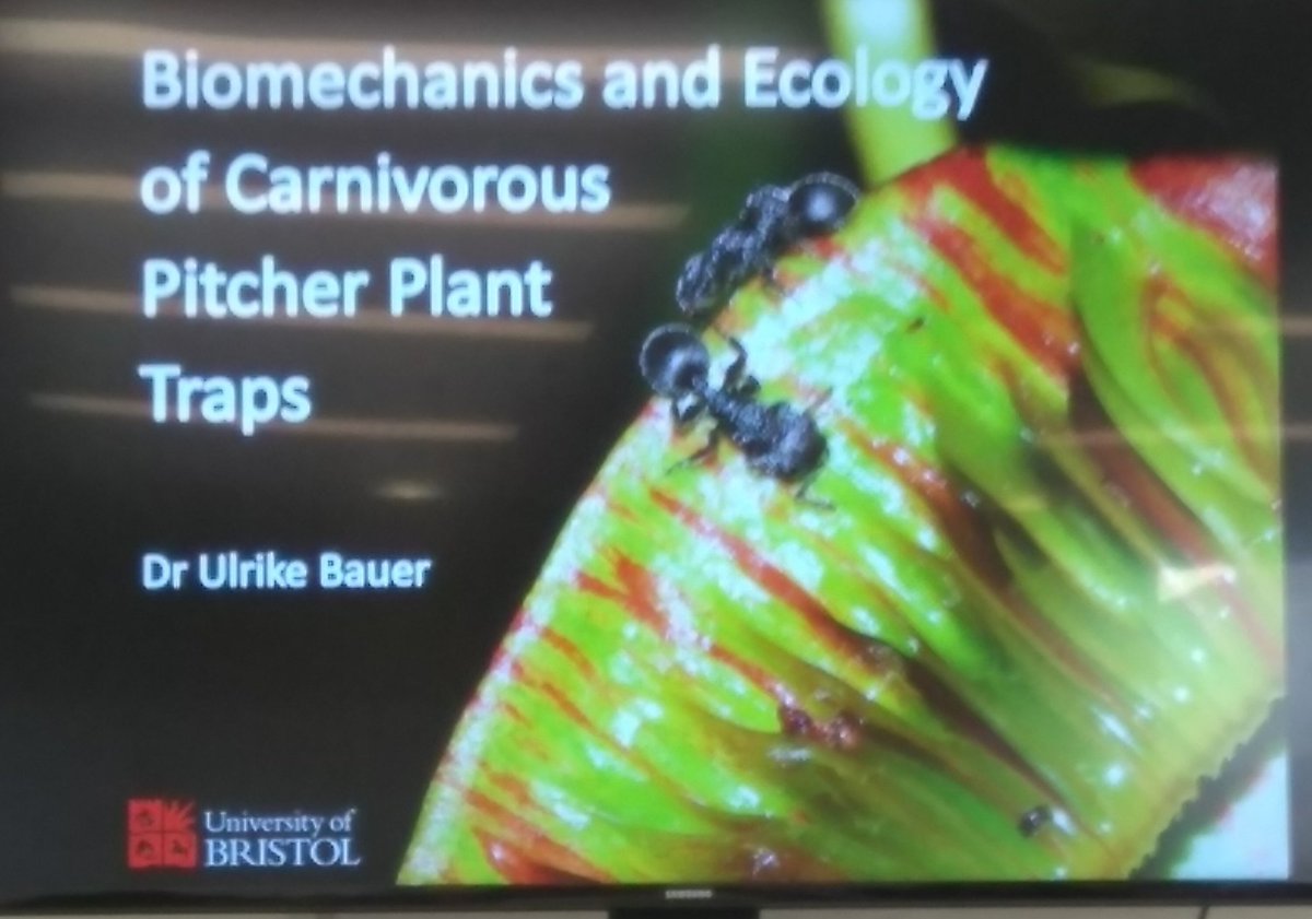 sheborg's tweet photo. Exciting talk for today's seminar! @EvolEcoLincoln #meateatingplants https://t.co/7Y0WcfoUMg