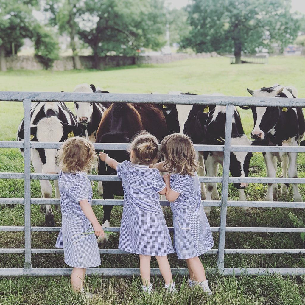 triplehalliwell's tweet photo. @racheltoal Hi Rachel we live in the countryside the girls are slowly adjusting but loving it https://t.co/Nhm8sqf4Gu