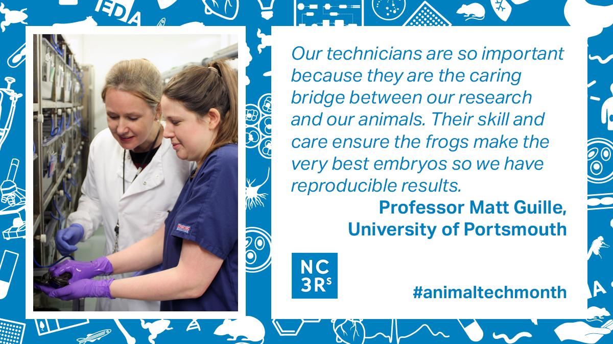 NC3Rs's tweet photo. Professor Matt Guilleβs team at @UoP_IBBS and the European Xenopus Resource Centre is working to reduce and refine the use of #Xenopus through improving the distribution of resources. Technicians play a big role in making this happen. #animaltechmonth https://t.co/Kvo6udeQ76