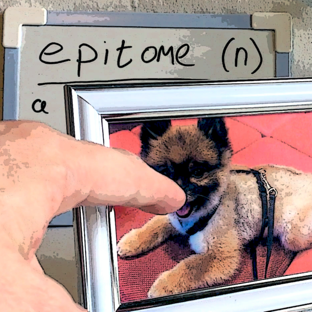 wordsphrasescom's tweet photo. Learn how to say "epitome". Watch the video at https://t.co/C4PfecCr8f … #epitome #epitomepronunciation #britishpronunciation #britishaccent #learnenglish #learnenglishwords https://t.co/pMrDCZ2QZd