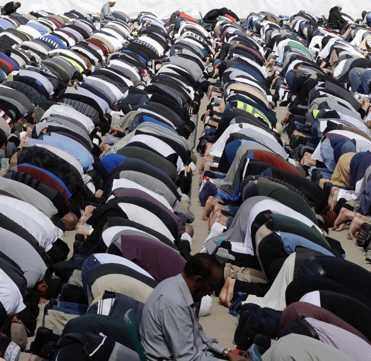 في الجمعة الأولى بعد حادثة مسجد كرايستشيرش حُملت جثامين الشهداء إلى مثواها الأخير واصطف رجال المسلمين وغير المسلمين معاً يلهجون بصلاة تؤلف القلوب ، وتوشحت النساء  بالتضامن مع الإنسانية ،، وتعالت التكبيرات في أنحاء البلاد فوق نعرات الكراهية والإرهاب،رحم الله الشهداء💙.
#نيوزلندا