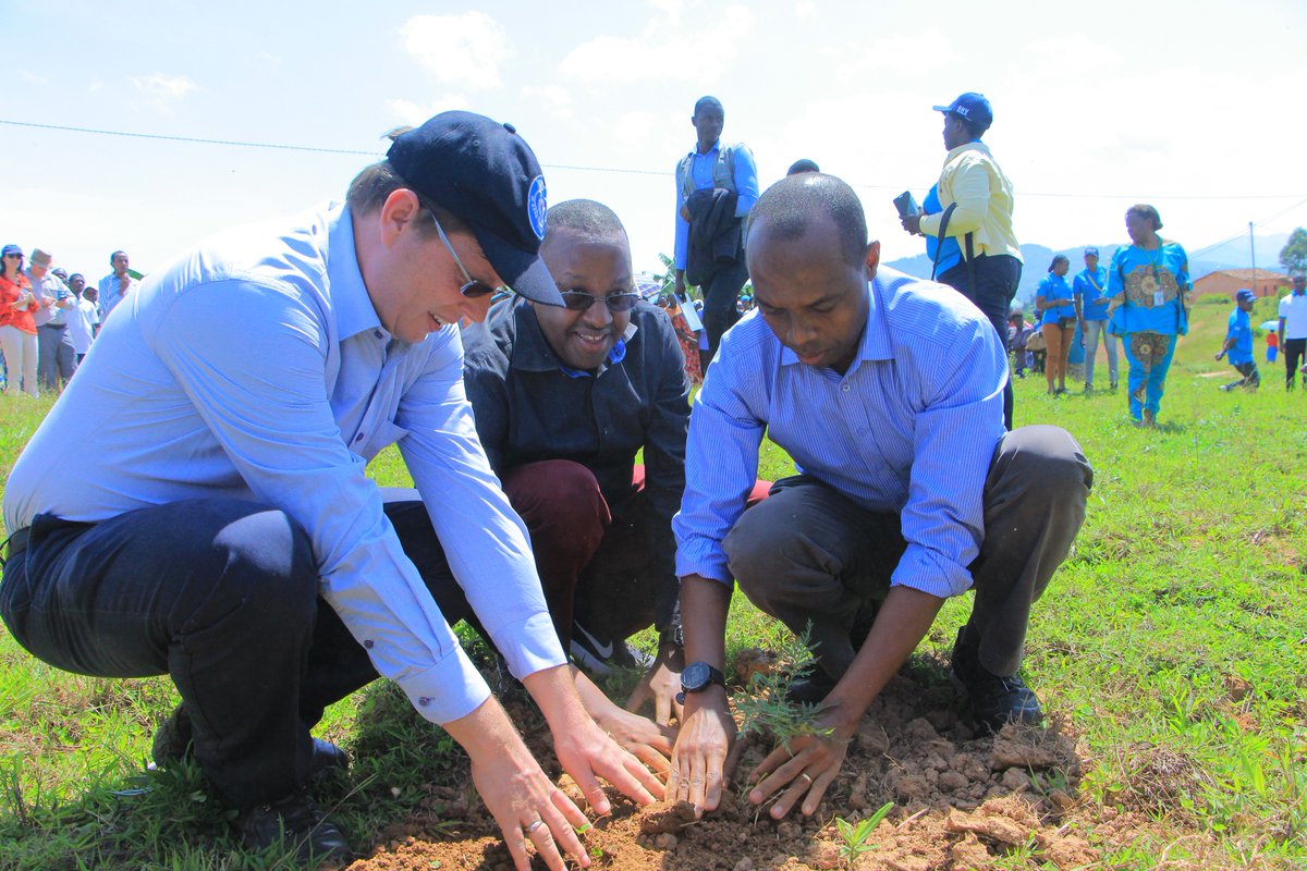 Rwanda Mines, Petroleum and Gas Board tweet media