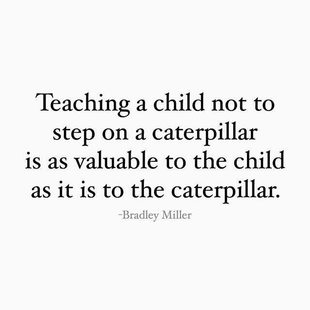 hall4633's tweet photo. So very true!! My littles and I talk about the importance of life for all of God’s creatures everyday! #teachthemyoung #compassion #empathy #makeabetterfuture #helpmakebutterflies https://t.co/v4xrFkaS8S