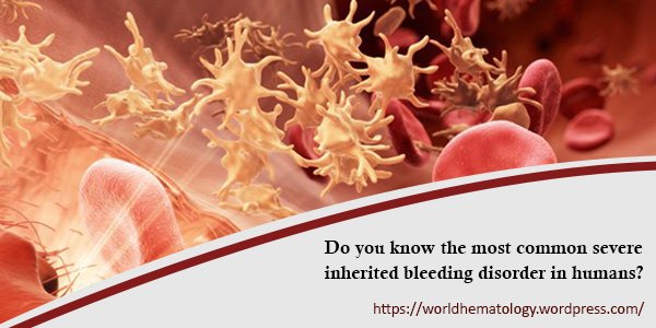 worldhemonc's tweet photo. To know about the most common severe #inherited #bleeding_disorder in #humans, PS: https://t.co/LakcF17mpy
#hematology_conferences #hematology_events #oncology_conferences #oncology_events #hematology_meetings #blood_disorders_meetings #hematology_summit https://t.co/TFwVdaT9gU https://t.co/5SDSTzhwfj