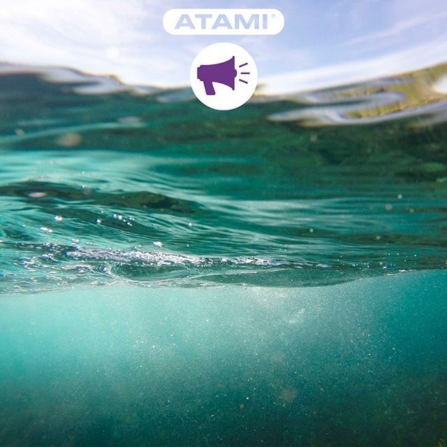 AtamiEU's tweet photo. Today is World Water Day! Water is indispensable for your plants; without water they simply will not grow or flower. But which kind of water is better? Rainwater or tap-water?
https://t.co/Wun8wyIsxz

Link in bio

#plantmagic #plantpower #plantaddict #p… https://t.co/yXmhD6l2bD https://t.co/wtRbncDPjU