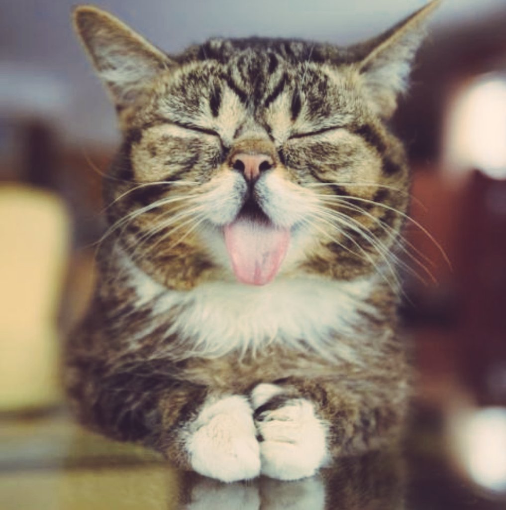 Good Morning <a href="/DonaldPilgrim2/">Hamish</a>